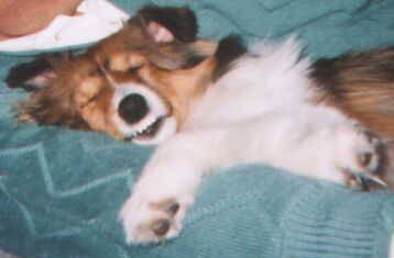 �ނɂ�ނɂ�E�E�E