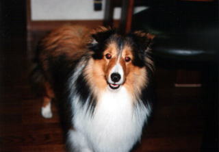 �ɂ������