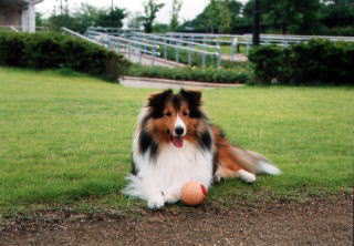 �{�[����D����