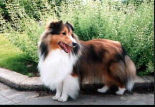 �˂��A����������B