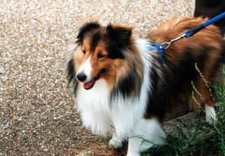 ���U���􂨎U����