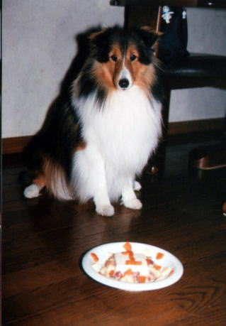 �P�΂ɂȂ�܂����B