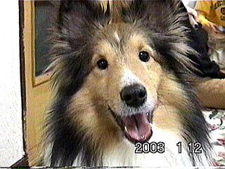 ���I�����񂪗V�тɗ������i�ꂨ����j