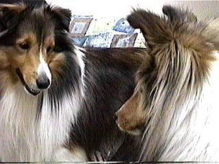 ���ɋْ����B�B�B�i�炨�Ƃꂨ�j