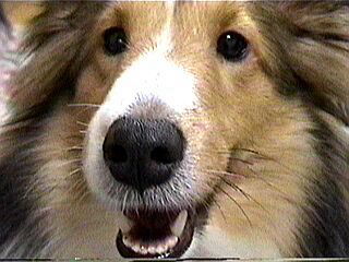 ���ւց�i�ށ[�j