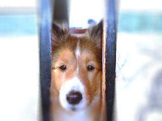 �����Ł[���B