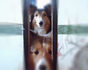 �����ƃ��[�N�Ł[���B