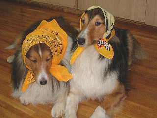 ���������Ⴄ���`�B