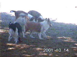 �N���X����ƃ}�����������i���́A�ꂨ�ށ[�j