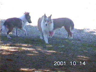 �˂��I�悭���Ă�ł����