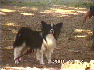 �N���X���Z�����