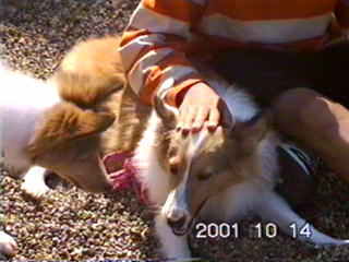 �܂��V�ڂ��ˁ�