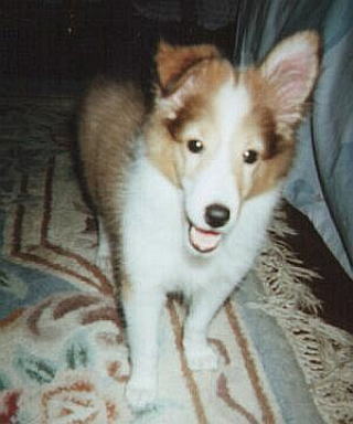 ����`�}�����������u���킢����v