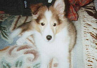 ����ρu�ށ[�v�Ɂi���H�j���Ă�Ǝv���܂���H�I