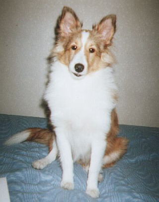 ����Ȃɑ傫���Ȃ�܂�������