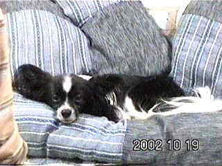 �N���X�����