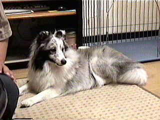 ���l������