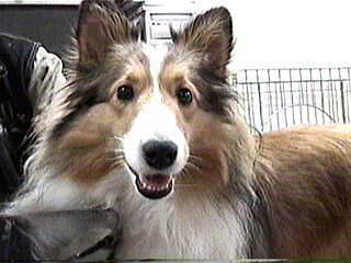 �}������������