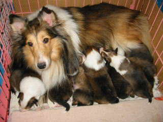 �������A�撣��܂����ˁ�