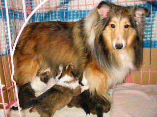 �������A��������