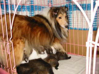 �������A�������܂�(��)��