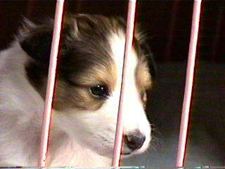 �L���b��