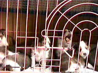 �t�@�`�@�`��