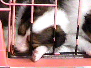 �������ܔ�����(��)