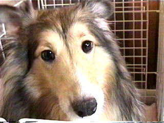 �́`����撣���Ă܁`���I