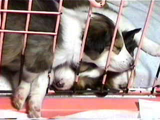 �ނ���ނ���ނ���I