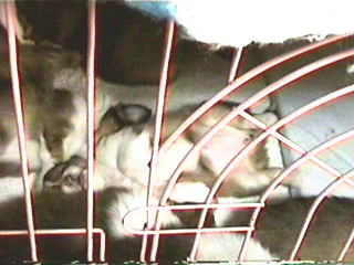 �����m�w�\�V(��)