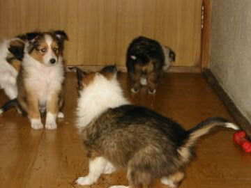 �������ցE�E�E�������ցE�E�E