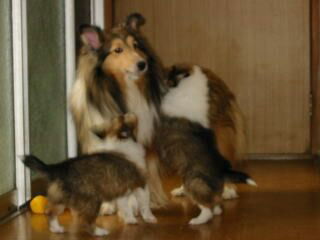 �}�}��D���@(^_-)(^*�@)�z�b�y�`���b��