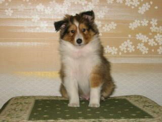 �劈�􂵂܂����