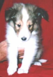 �Z�[�u��1�i���j