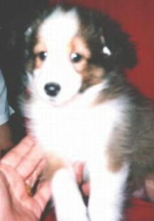 �Z�[�u��2�i���j