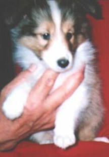 �Z�[�u��3�i���j