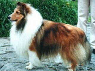 �Ƃ��Ă��n���T���B