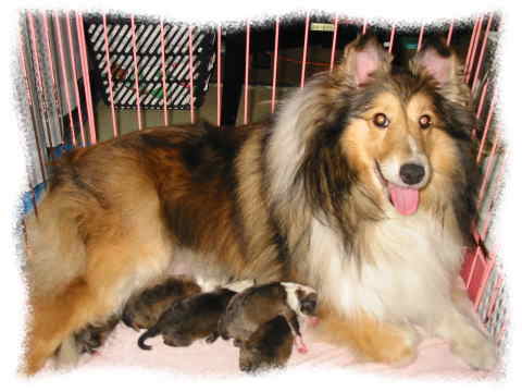 ���ꂳ��̈������B