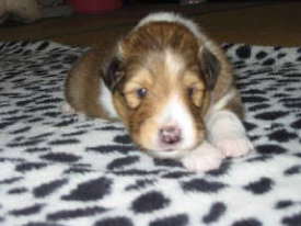 ����21����