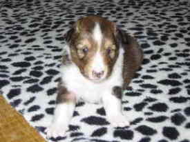 ������21����