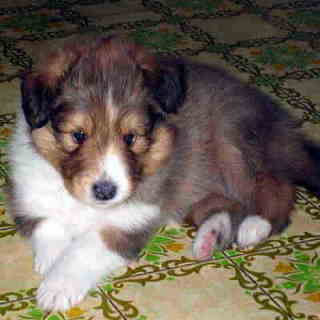 �j�N�L���E�����I