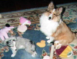 �����ɂ����`��