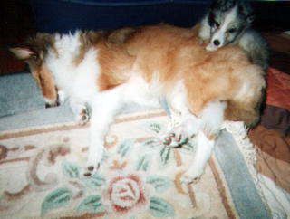 ��������`��