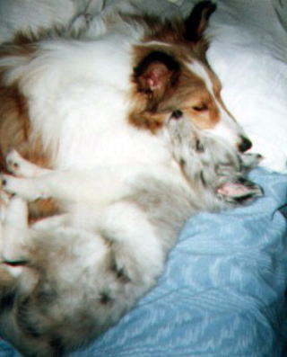 �݂Ȃ���A�ǂ��������V�N�˂���