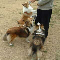 ���������B