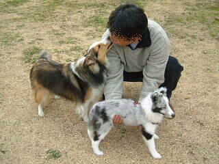 �`���b��i�V�O)(*�O-�O*)�U