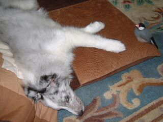 �R�[�g������(��)