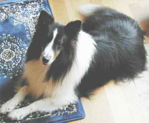 ���҂������I�����܂����e�B�����