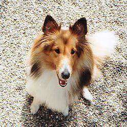 �܂�̈����u�������v�ł���